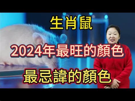 2024錢包顏色生肖|皮夾/錢包招財顏色這樣選！掌握錢包風水、禁忌，聚。